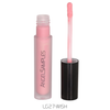LUXURY LIP GLOSS